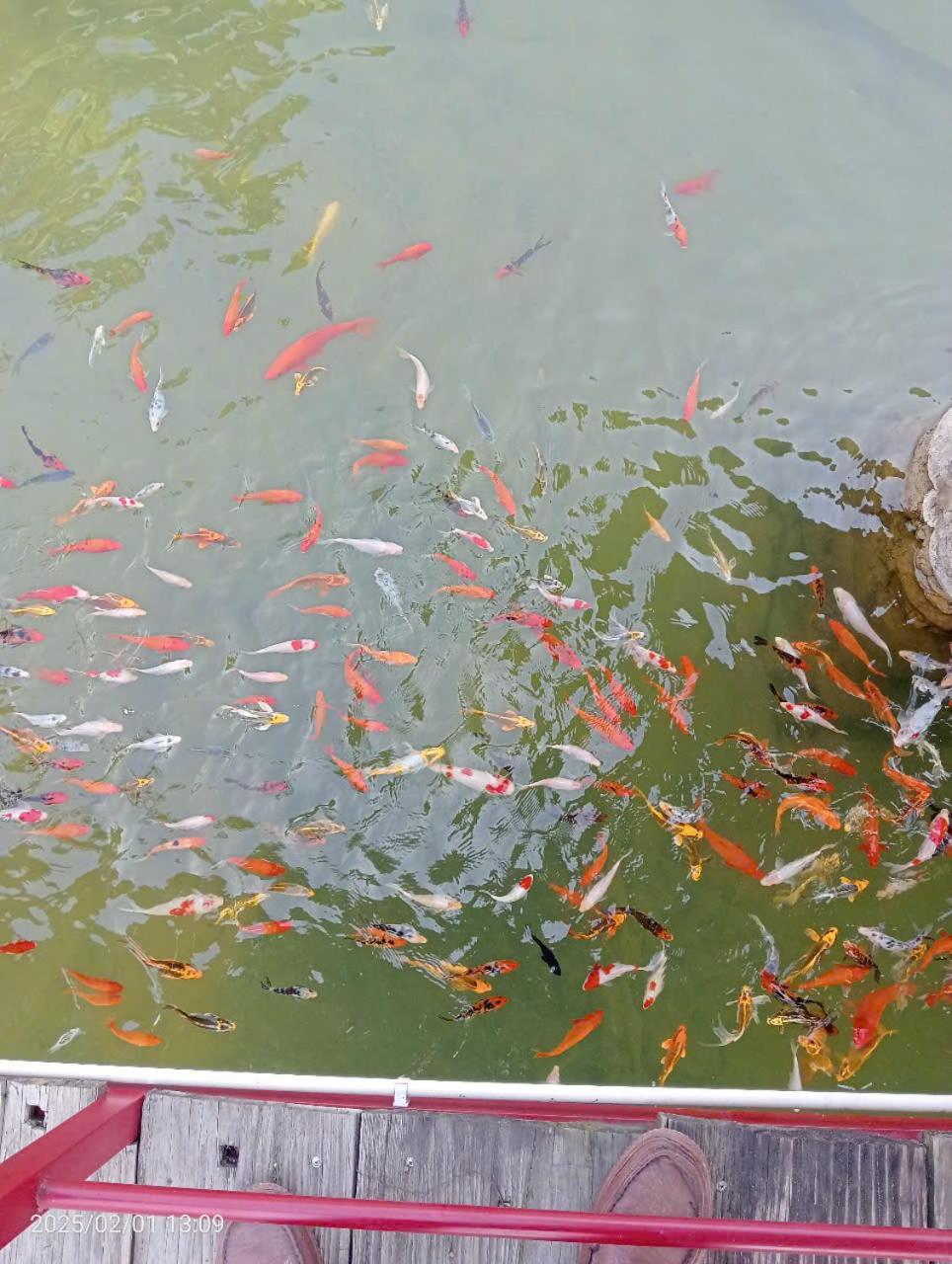 Homestay Suoi Khoang Minh Hang Yen Bai Eksteriør billede